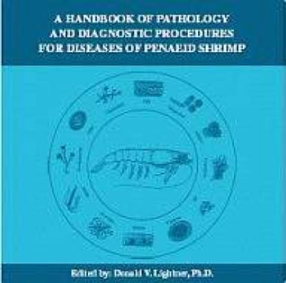 Picture of Handbook of Shrimp Pathology and Diagnostic Procedures for Diseases of Penaeid Shrimp